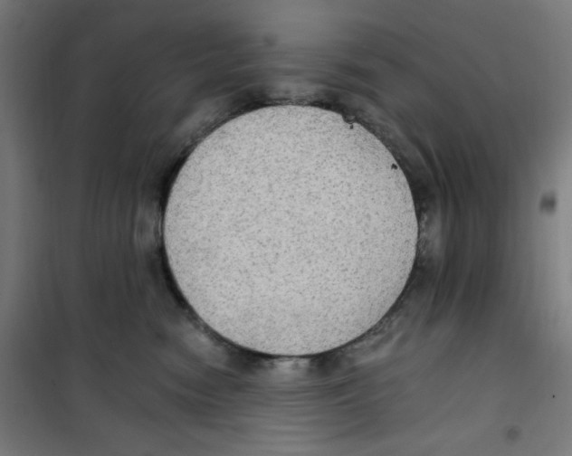 X0000100330474200807031239