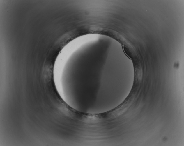 X0000100330475200807031239