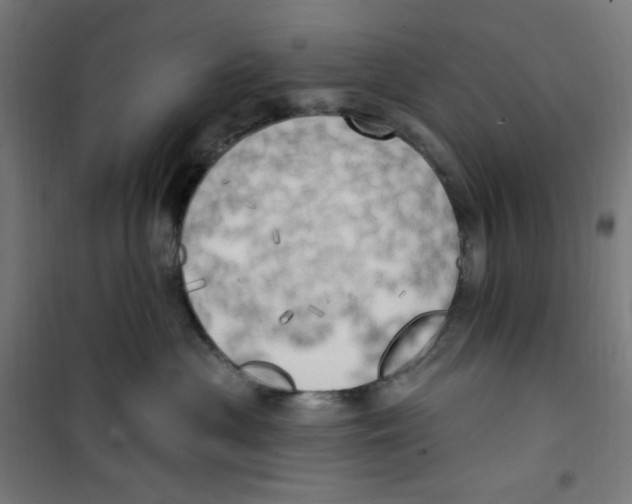 X0000100330477200807031239