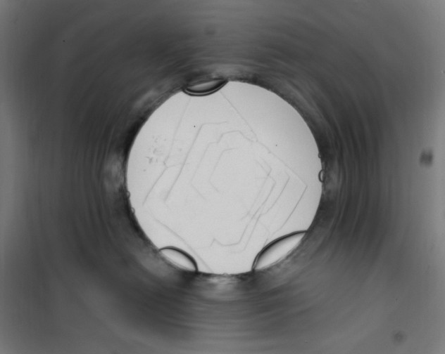 X0000100330478200807031239