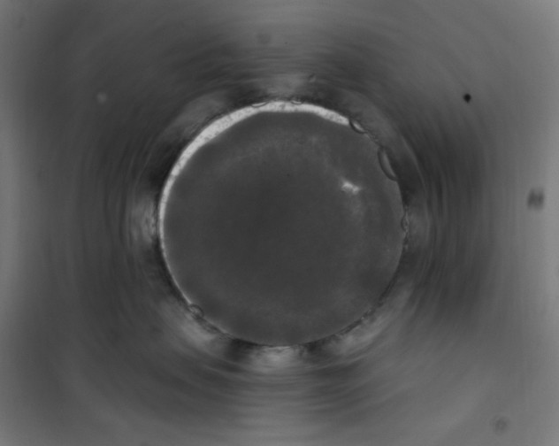 X0000100330479200807031239