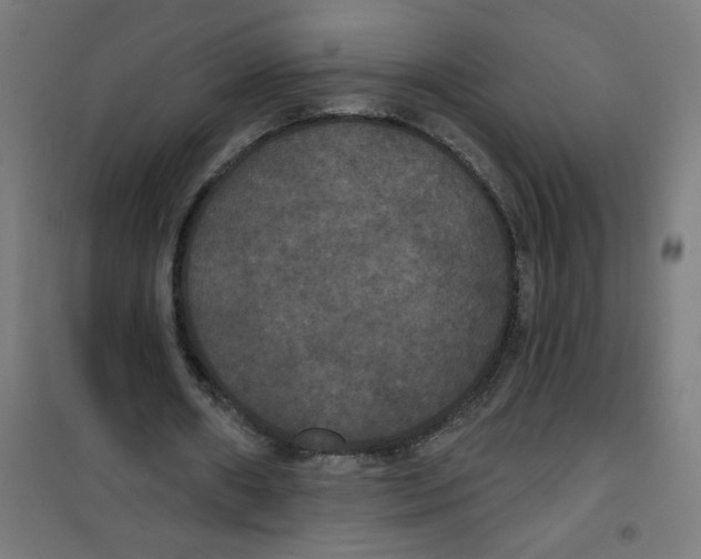 X0000100330482200807031238