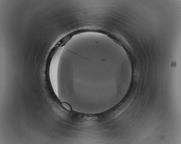 X0000100330484200807031238