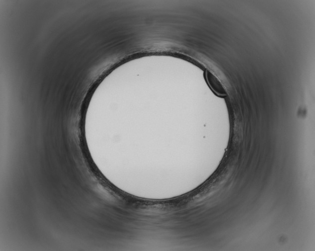 X0000100330485200807031238