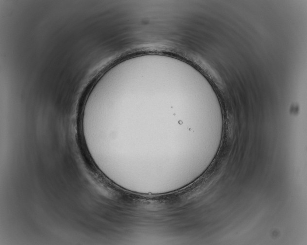 X0000100330486200807031238