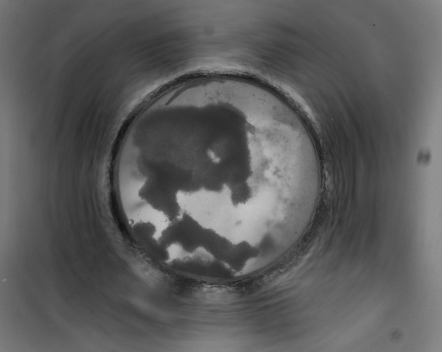 X0000100330487200807031238