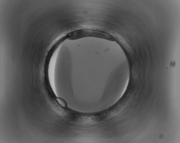 X0000100330488200807031238