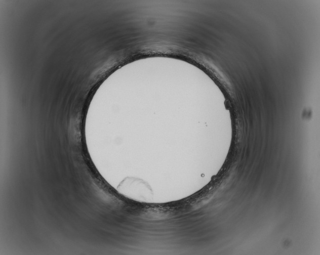 X0000100330489200807031238