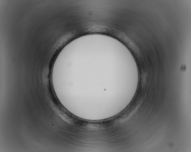 X0000100330490200807031238