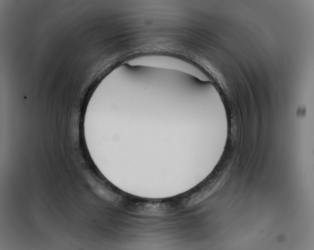 X0000100330493200807031238