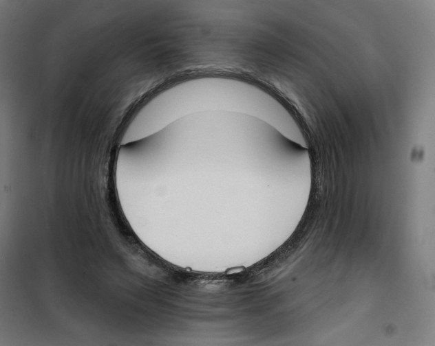 X0000100330495200807031238