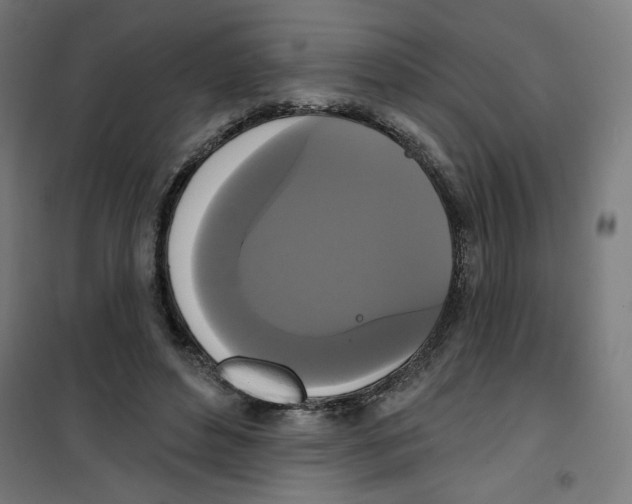 X0000100330496200807031238