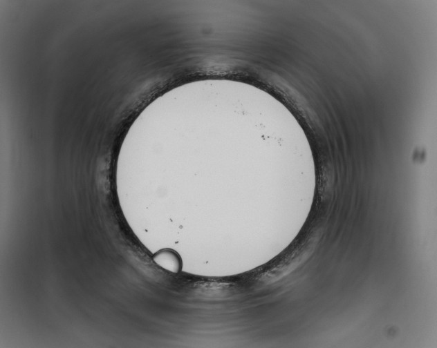 X0000100330497200807031238