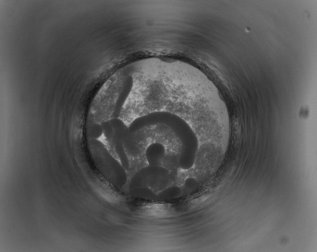 X0000100330499200807031238