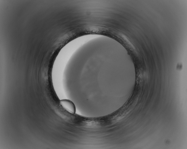 X0000100330500200807031238