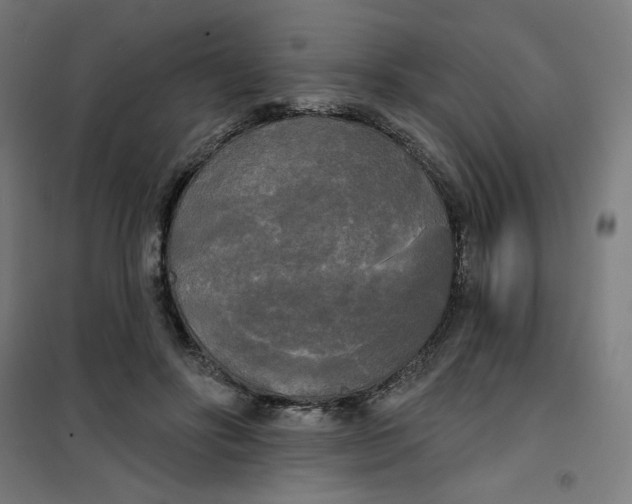 X0000100330502200807031238