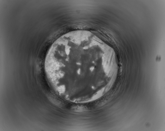 X0000100330503200807031238