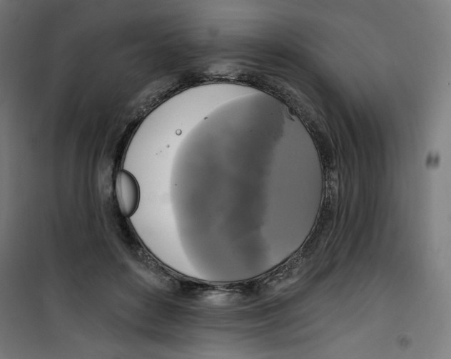 X0000100330504200807031238