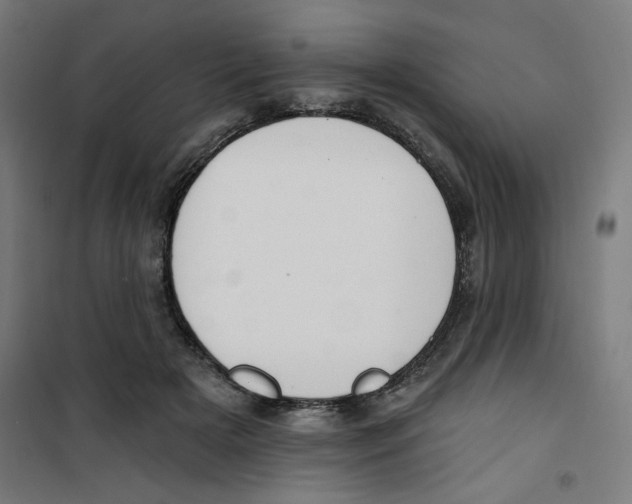 X0000100330505200807031238