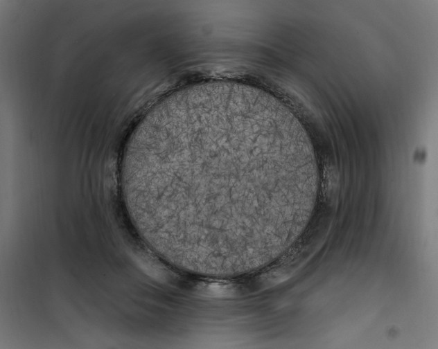 X0000100330506200807031238