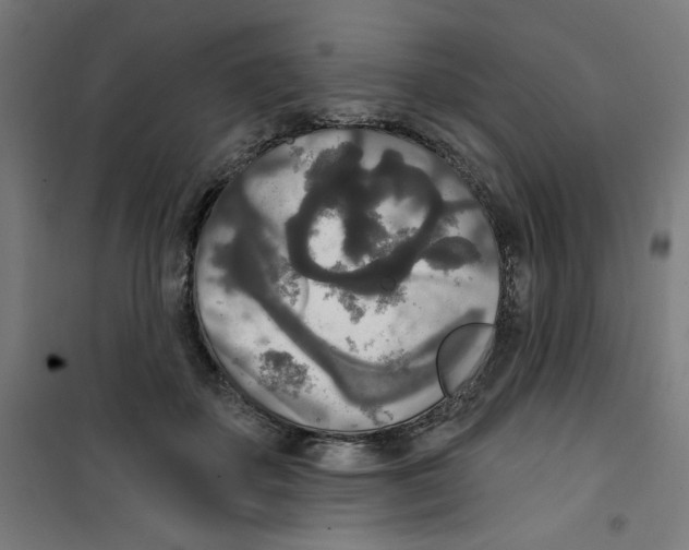 X0000100330507200807031238