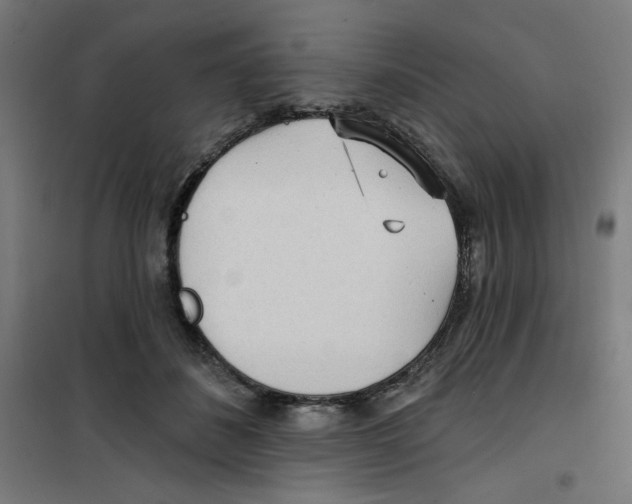 X0000100330508200807031238