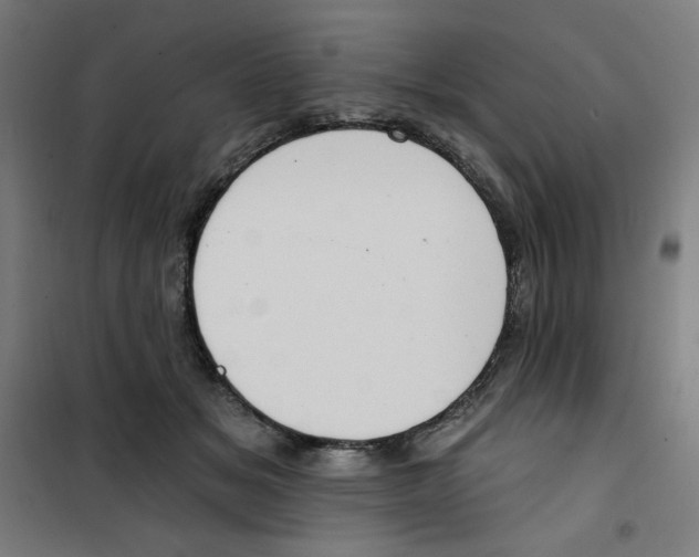 X0000100330509200807031238