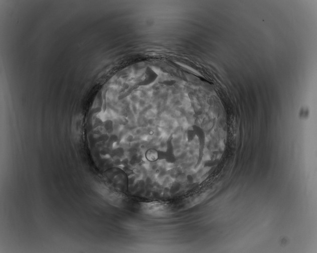 X0000100330511200807031238