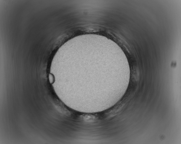 X0000100330512200807031238