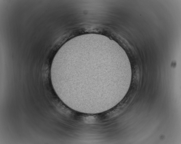 X0000100330513200807031238