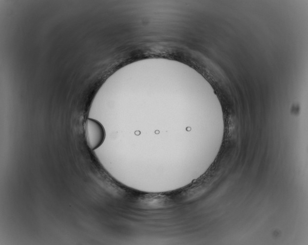 X0000100330514200807031238