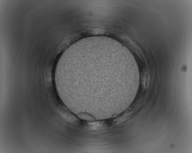 X0000100330516200807031238