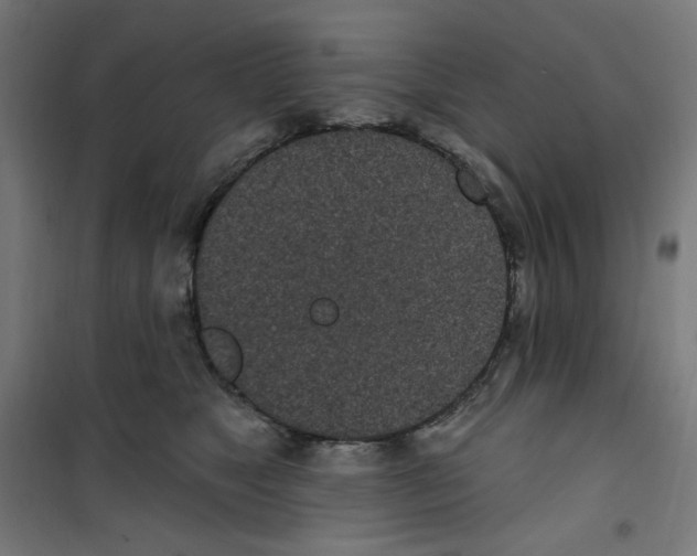 X0000100330517200807031238