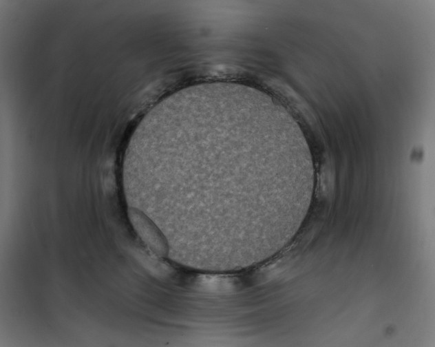 X0000100330520200807031238