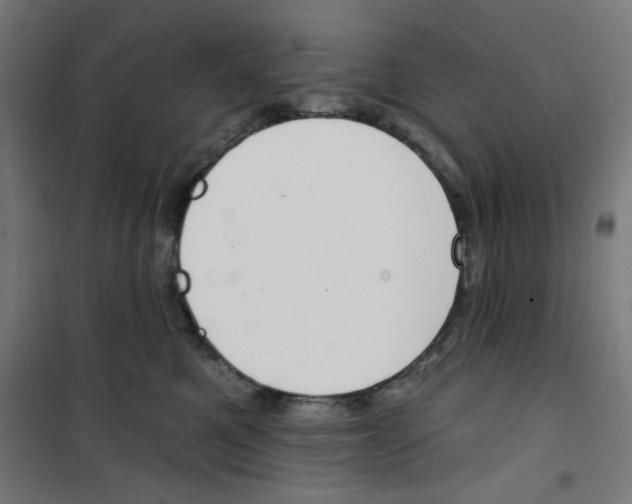 X0000100330521200807031238