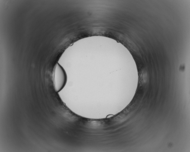 X0000100330522200807031238