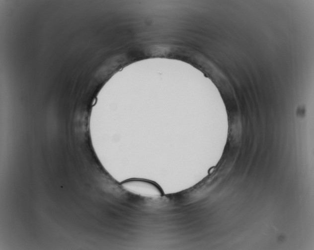 X0000100330525200807031238