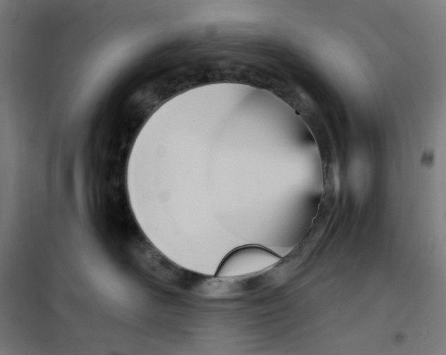 X0000100330526200807031238