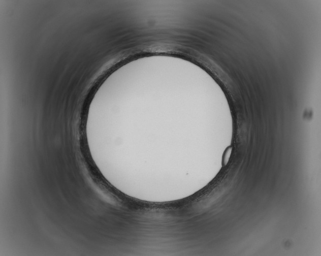 X0000100330530200807031237