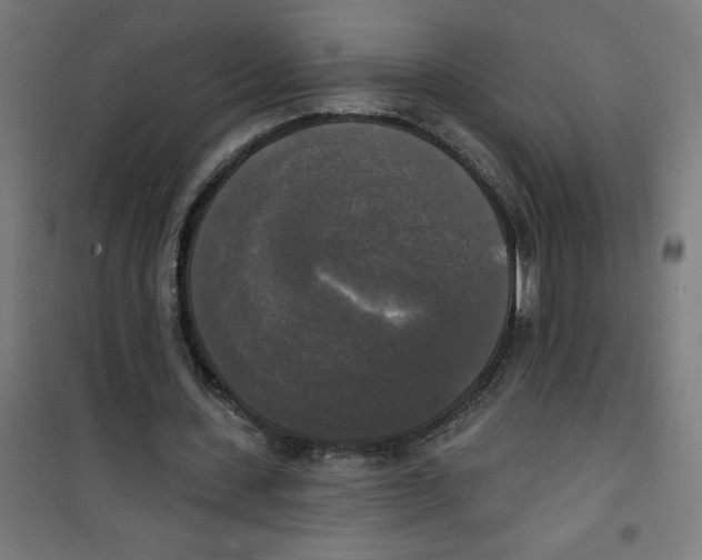 X0000100330531200807031237