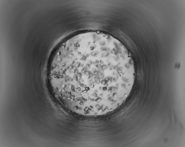 X0000100330532200807031237