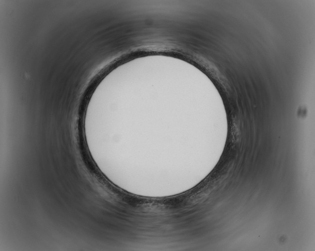 X0000100330535200807031237