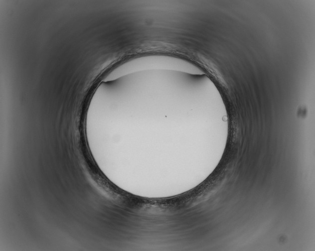 X0000100330538200807031237