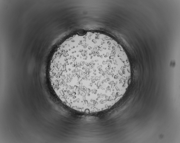 X0000100330539200807031237