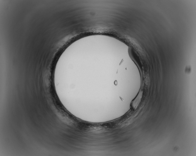 X0000100330540200807031237