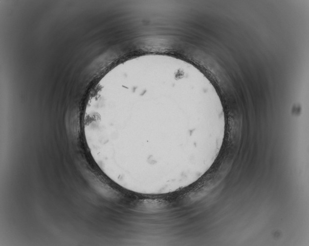 X0000100330541200807031237