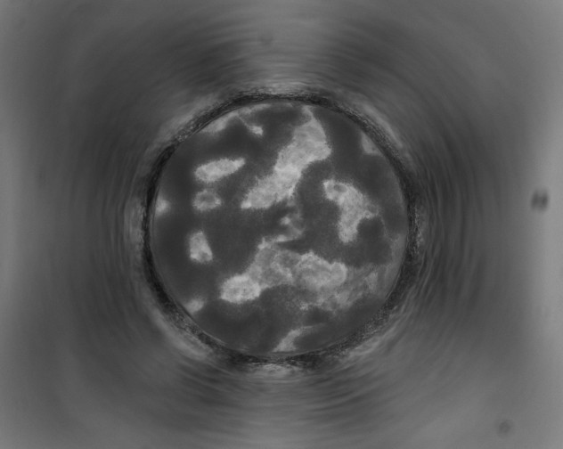 X0000100330542200807031237