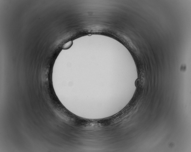 X0000100330543200807031237