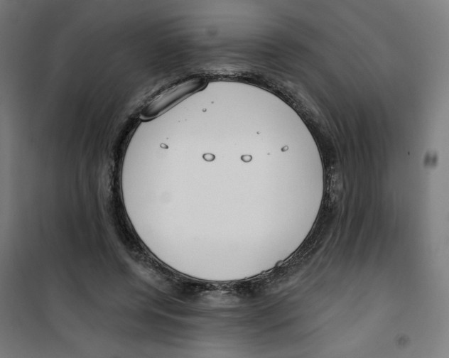 X0000100330544200807031237