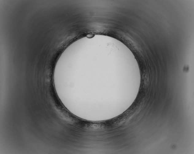 X0000100330546200807031237